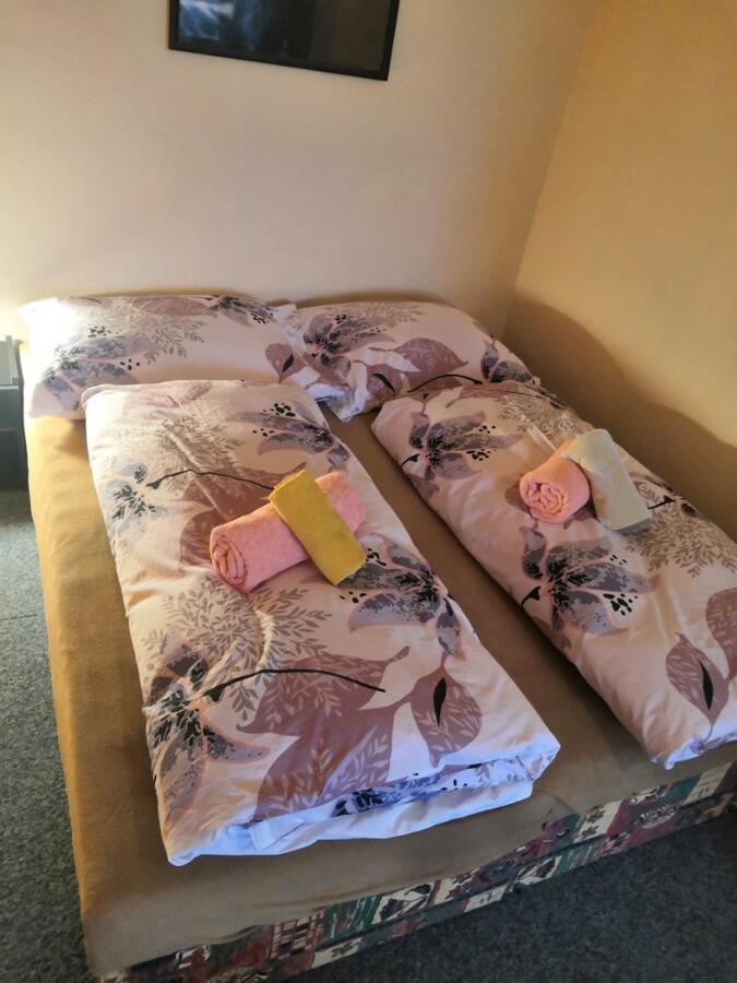ホテル Apartmanovy Dum Velké Losiny エクステリア 写真