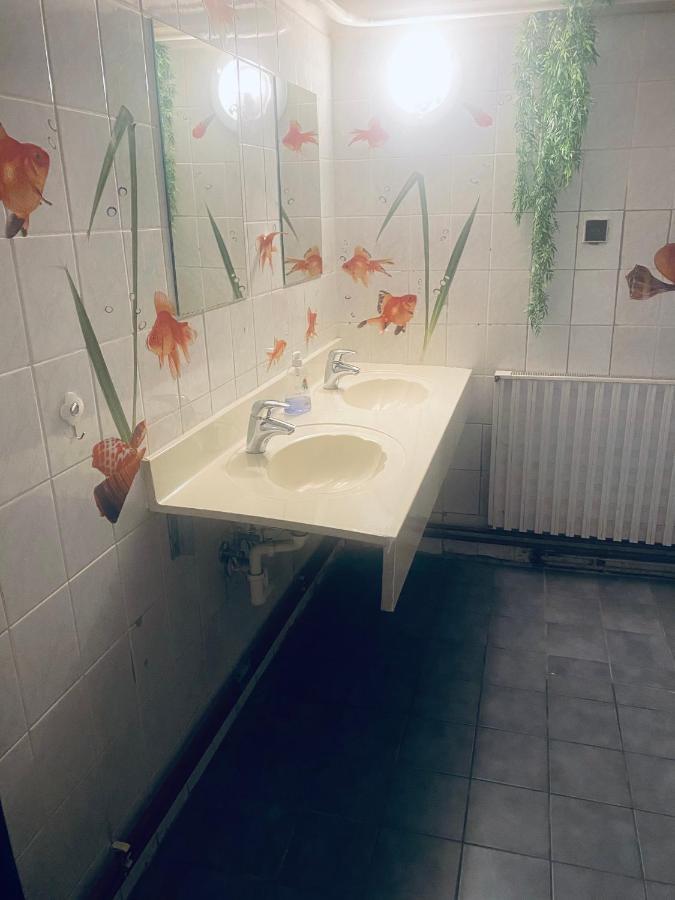 ホテル Apartmanovy Dum Velké Losiny エクステリア 写真